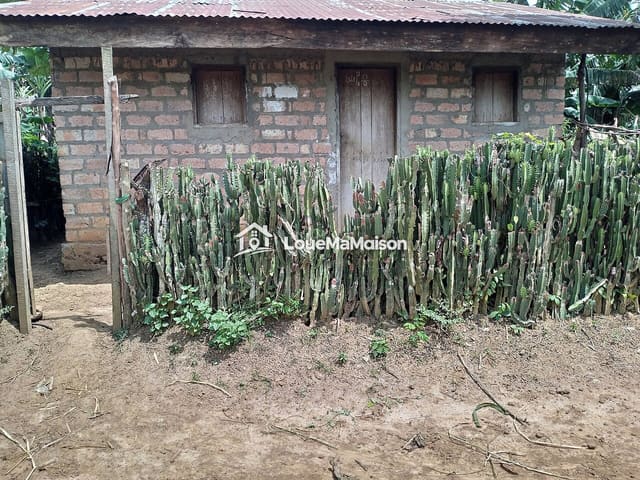 Maison 3 chambres derrière une haie de cactus à Lalala
