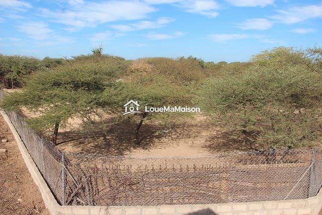 Terrain grillagé pour maraîchage à Sangalkam