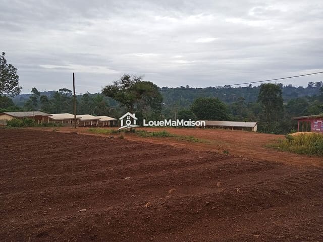 Terrain de 600 m² en terre rouge à Odza