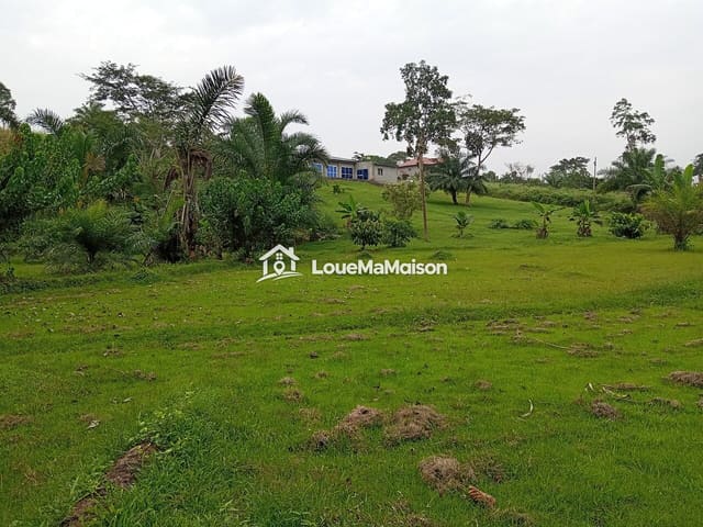 Grand terrain herbeux de 1 200 m² à Kribi