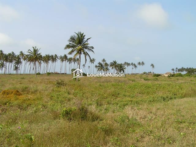 Terrain de 1 000 m² avec cocotiers à Fidjrossè