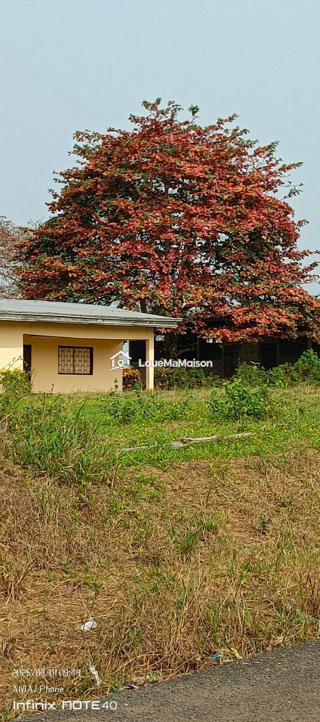 Villa basse meublée de 3 chambres à Logpom